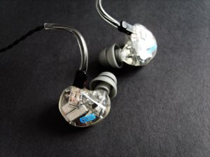 EarSonics S-EM6