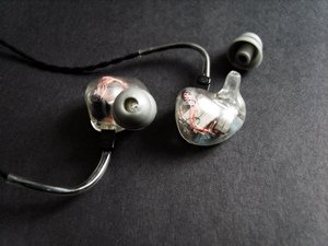 EarSonics S-EM6