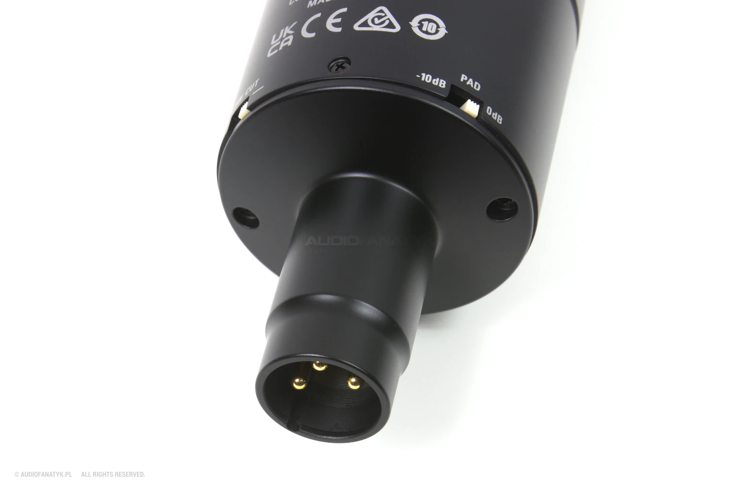 Zbliżenie na złącze XLR