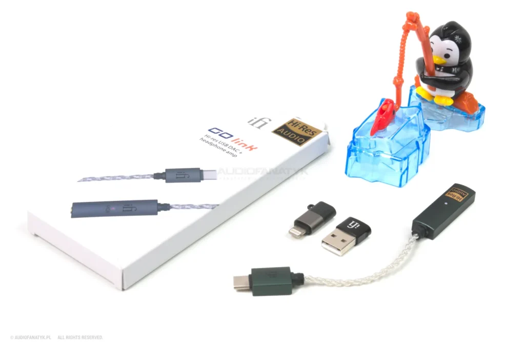Kompletny zestaw iFi Audio Go Link