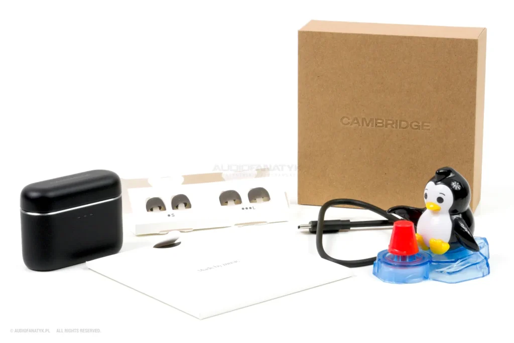 Recenzja Cambridge Melomania A100