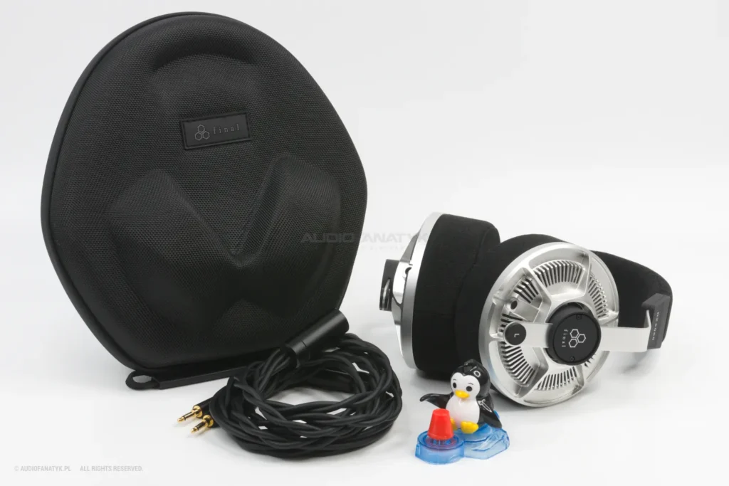Recenzja Final DX6000